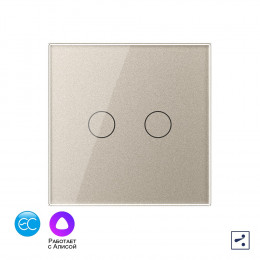 Двухклавишный проходной умный сенсорный выключатель Livolo EC, 1 пост, цвет шампань VL-C702SZ2-16