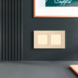 Рамка из металла на 2 поста АluMax шампань алюминий