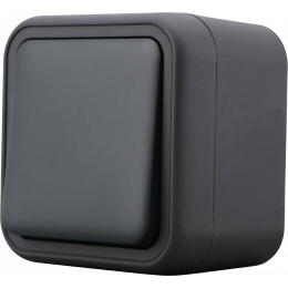 Переключатель 1-клавишный накладной, цвет антрацит, IP55, серия W55 DIP10628