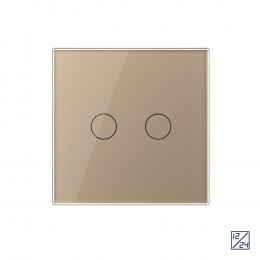 Двухклавишный сенсорный выключатель Livolo 12/24В, 1 пост, Золотой VL-C702C-13