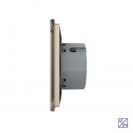 Двухклавишный сенсорный выключатель Livolo 12/24В, 1 пост, Золотой VL-C702C-13