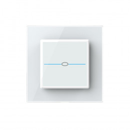 Сенсорный выключатель Livolo Quadro 1 клавиша 1 пост Белый VL-Q701-11