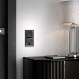 Рамка из стекла на 2 поста Favorit черный