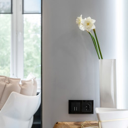 Рамка из стекла на 2 поста Favorit черный