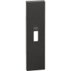 Купить Bticino Living now Черный Лицевая панель для зарядных устройств USB 1 мод в rum24.ru