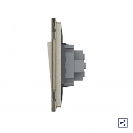 Одноклавишный проходной механический выключатель Livolo, 1 пост, цвет шампань