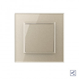 Одноклавишный проходной механический выключатель Livolo, 1 пост, цвет шампань