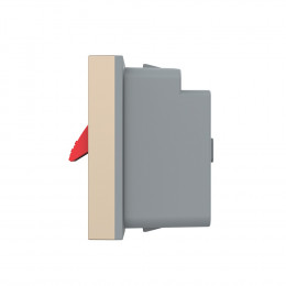 Розетка акустическая на зажимах Livolo, цвет золотой (механизм) VL-FCSD-1APS01