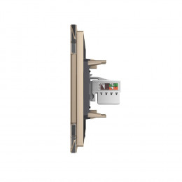 Розетка компьютерная LIVOLO RJ-45 золотая VL-C791C-13