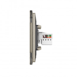 Розетка интернет двойная RJ-45 кат.6 Livolo, 1 пост, цвет шампань