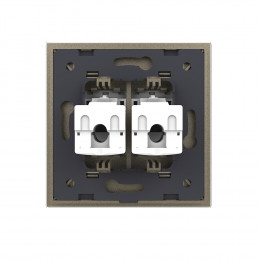 Розетка интернет двойная RJ-45 кат.6 Livolo, 1 пост, цвет шампань