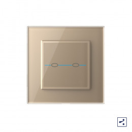 Двухклавишный проходной/перекрестный сенсорный выключатель Livolo Quadro, 1 пост, цвет золотой