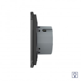 Одноклавишный сенсорный диммер Livolo, 1 пост, цвет черный