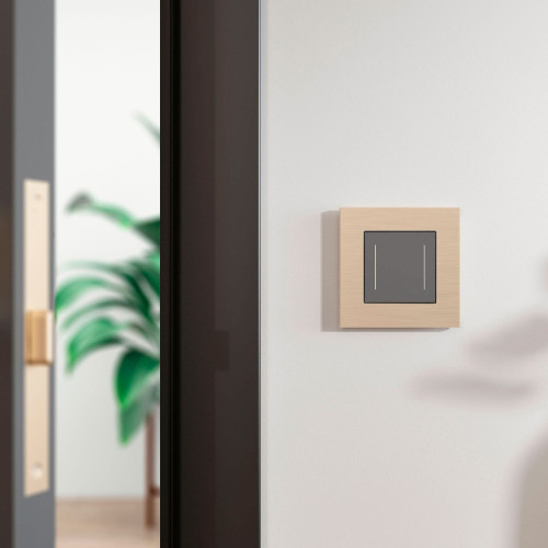 Купить Рамка из металла на 1 пост АluMax шампань алюминий в rum24.ru фото: 4