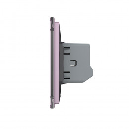 Сенсорный выключатель Livolo 2 клавиши 1 пост Розовый VL-C702-17