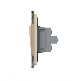 Механический выключатель Livolo 2 клавиши Золотой