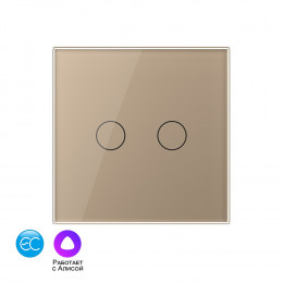 Двухклавишный пульт дистанционного управления Livolo EC, цвет золотой