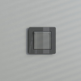 Розетка влагозащ. с зазем. с защит. крышкой и шторками (графит акрил) Werkel W1171244