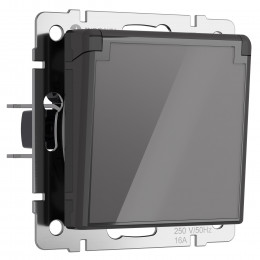 Розетка влагозащ. с зазем. с защит. крышкой и шторками (графит акрил) Werkel W1171244