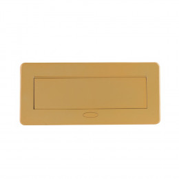 Розетка горизонтальная выдвижная 2 Euro 16A, USB type A+C с блоком 18W RocketSocket, проводка, цвет золотой