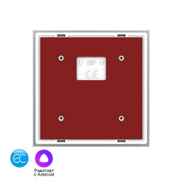 Двухклавишный пульт дистанционного управления Livolo EC, цвет серый