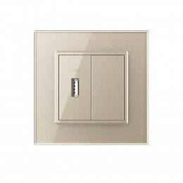 Розетка с одним USB type-A, блоком питания 5В 2.1А Livolo, 1 пост, цвет шампань