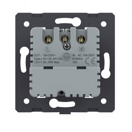Розетка электрическая с заземлением защитными шторками 16A + USB type C с блоком питания 18W Livolo, цвет черный (механизм) VL-FCTF16A.UC18W-2BP