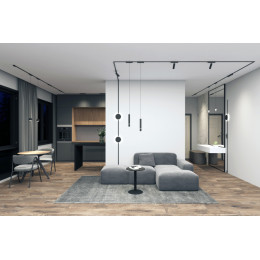 Светильник на шине Denkirs DK5320-BK