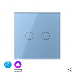 Двухклавишный проходной умный сенсорный выключатель Livolo EC, 1 пост, цвет синий VL-C702SZ2-19