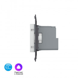 Розетка электрическая с заземлением защитными шторками 16A Livolo EC, цвет серый (механизм)