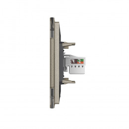 Розетка интернет одинарная RJ-45 кат.6 Livolo, 1 пост, цвет шампань