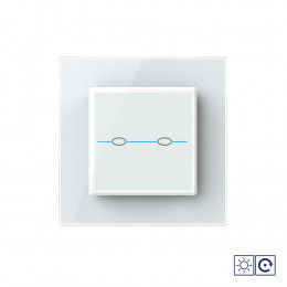 Двухклавишный сенсорный импульсный выключатель Livolo Quadro сухой контакт, 1 пост, цвет белый