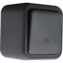 Переключатель 1-клавишный накладной с подсветкой, цвет антрацит, IP55, серия W55 DIP30628