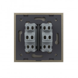 Двухклавишный механический выключатель Livolo, 1 пост, цвет шампань