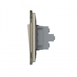 Двухклавишный механический выключатель Livolo, 1 пост, цвет шампань