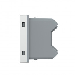 Розетка электрическая 1/2 10A Livolo, цвет серый (механизм)