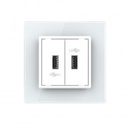 Розетка двойная USB LIVOLO с блоком питания 5В 2.1А белая VL-C792USB-11