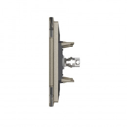 Розетка телевизионная одинарная Livolo, 1 пост, цвет шампань