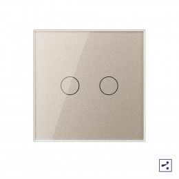 Двухклавишный проходной/перекрестный сенсорный выключатель Livolo, 1 пост, цвет шампань