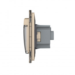 Розетка электрическая 16A с водонепроницаемой крышкой Livolo, 1 пост, цвет золотой