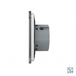 Двухклавишный сенсорный выключатель Livolo 12/24В, 1 пост, Серый VL-C702C-15