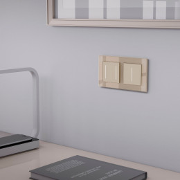 Рамка из стекла на 2 поста Favorit шампань