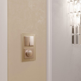 Рамка из стекла на 2 поста Favorit шампань