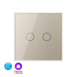 Двухклавишный умный сенсорный выключатель Livolo EC, 1 пост, цвет шампань VL-C702Z2-16
