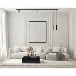 Светильник на шине Denkirs DK8010-BG