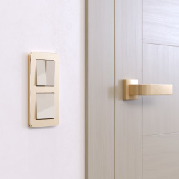 Рамка из металла на 2 поста Platinum шампань