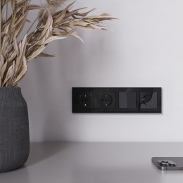 Диммер (черный акрил) Werkel W1142048