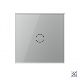 Одноклавишный сенсорный выключатель Livolo 12/24В, 1 пост, Серый VL-C701C-2IG