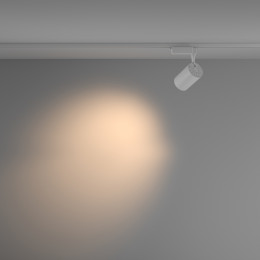Трековый светильник Vuoro Maytoni 15 Вт 3000 TR003-1-15W3K-M-W