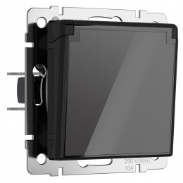 Розетка влагозащ. с зазем. с защит. крышкой и шторками (черный акрил) Werkel W1171248